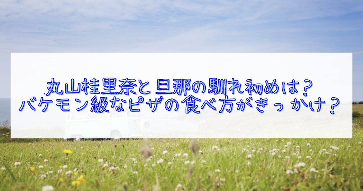 丸山桂里奈と旦那の馴れ初め